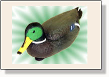 © BY HW – CDVDV – HH