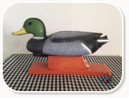 © BY HW – CDVDV – HH